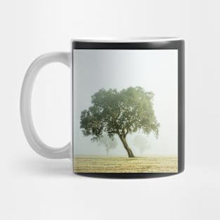 Near Mansfield there leans a tree. Mug